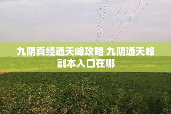 九*真经通天峰攻略 九*通天峰副本入口在哪