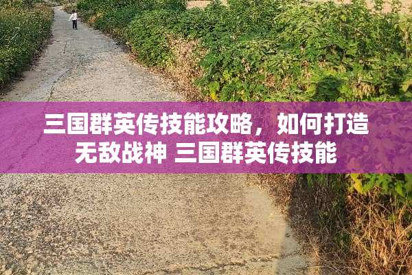 三国群英传技能攻略，如何打造无敌战神 三国群英传技能