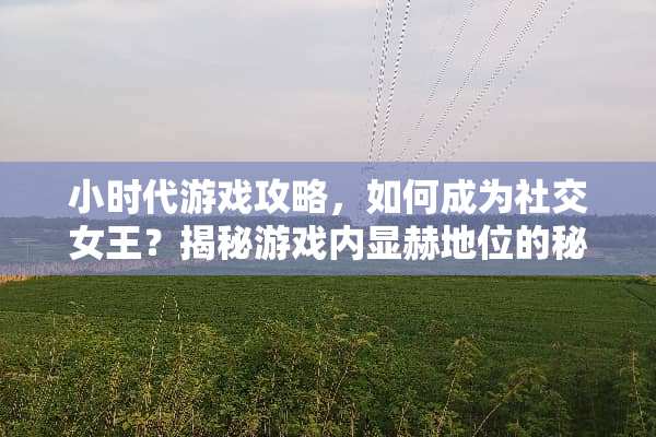小时代游戏攻略，如何成为社交女王？揭秘游戏内显赫地位的秘诀！ 小时代游戏攻略广告拍摄