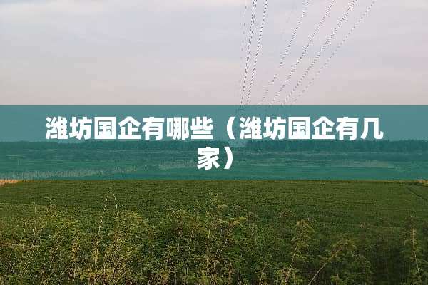 潍坊国企有哪些（潍坊国企有几家）
