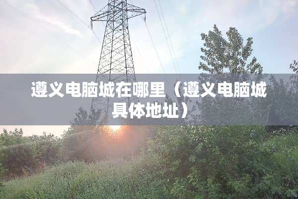 遵义电脑城在哪里（遵义电脑城具体地址）