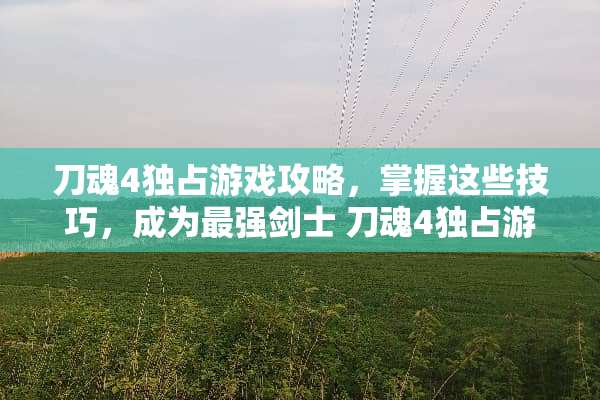 刀魂4独占游戏攻略，掌握这些技巧，成为最强剑士 刀魂4独占游戏攻略