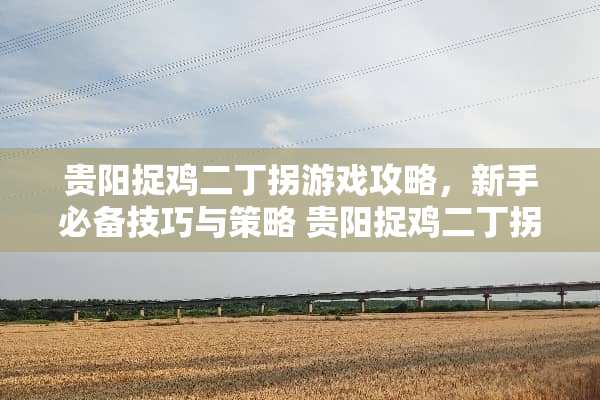 贵阳捉鸡二丁拐游戏攻略，新手必备技巧与策略 贵阳捉鸡二丁拐玩法