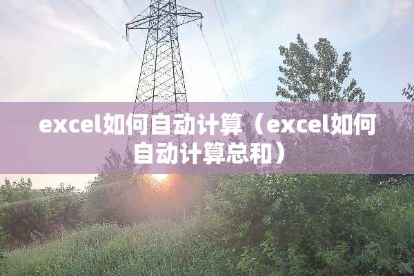 excel如何自动计算（excel如何自动计算总和）