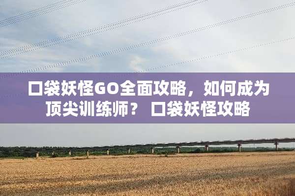 口袋妖怪GO全面攻略，如何成为顶尖训练师？ 口袋妖怪攻略