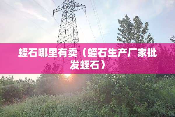 蛭石哪里有卖（蛭石生产厂家批发蛭石）