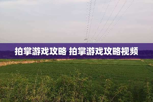 拍掌游戏攻略 拍掌游戏攻略视频