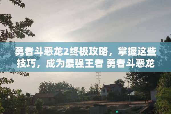 勇者斗恶龙2终极攻略，掌握这些技巧，成为最强王者 勇者斗恶龙2攻略图文