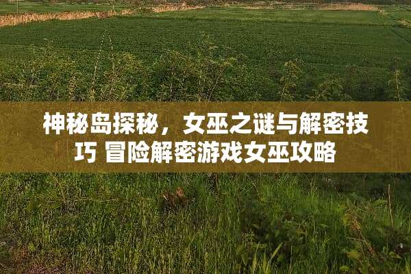神秘岛探秘，女巫之谜与解密技巧 冒险解密游戏女巫攻略