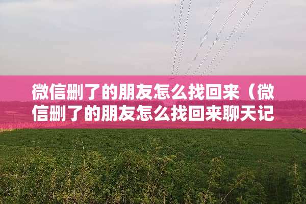 微信删了的朋友怎么找回来（微信删了的朋友怎么找回来聊天记录）