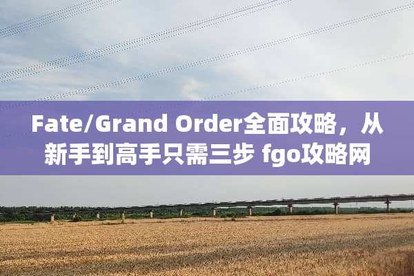 Fate/Grand Order全面攻略，从新手到高手只需三步 fgo攻略网站