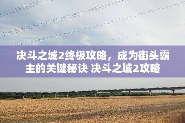 决斗之城2终极攻略，成为街头霸主的关键秘诀 决斗之城2攻略