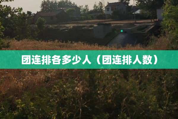 团连排各多少人（团连排人数）
