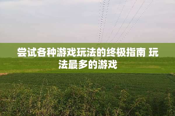尝试各种游戏玩法的终极指南 玩法最多的游戏