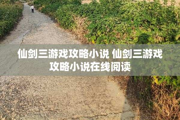 仙剑三游戏攻略小说 仙剑三游戏攻略小说在线阅读