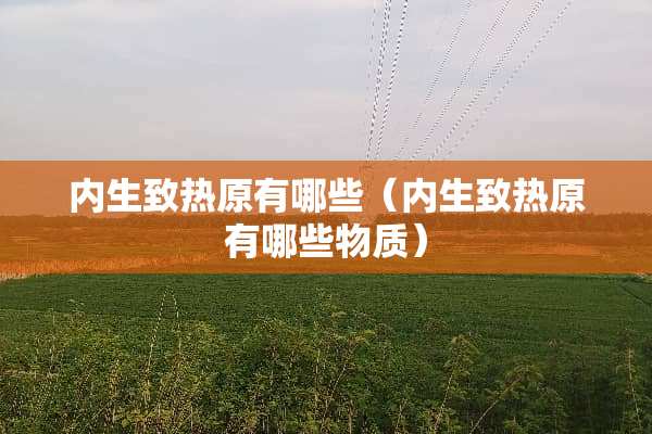内生致热原有哪些（内生致热原有哪些物质）