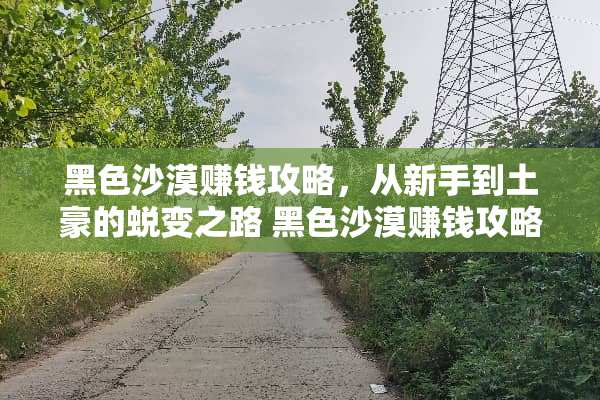 黑色沙漠赚钱攻略，从新手到土豪的蜕变之路 黑色沙漠赚钱攻略