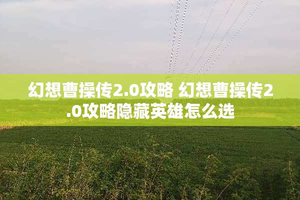 幻想曹操传2.0攻略 幻想曹操传2.0攻略隐藏英雄怎么选