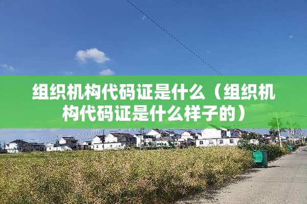 组织机构代码证是什么（组织机构代码证是什么样子的）