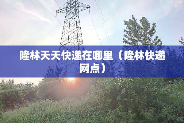 隆林天天快递在哪里（隆林快递网点）