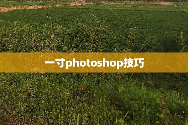 一寸photoshop技巧