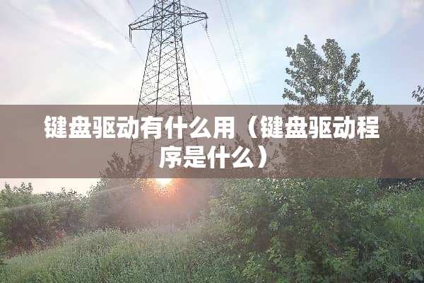 键盘驱动有什么用（键盘驱动程序是什么）