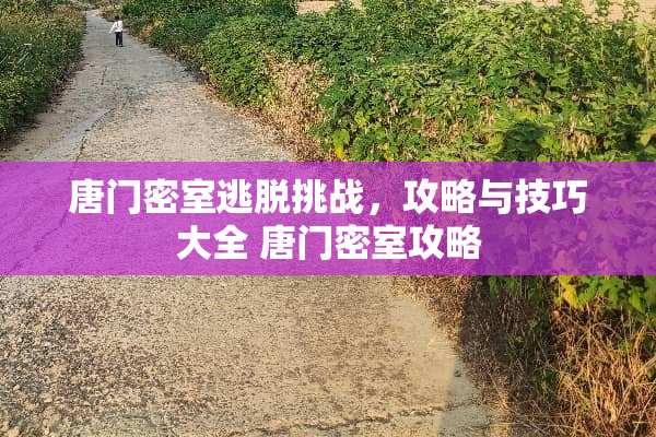 唐门密室逃脱挑战，攻略与技巧大全 唐门密室攻略