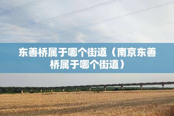东善桥属于哪个街道（南京东善桥属于哪个街道）