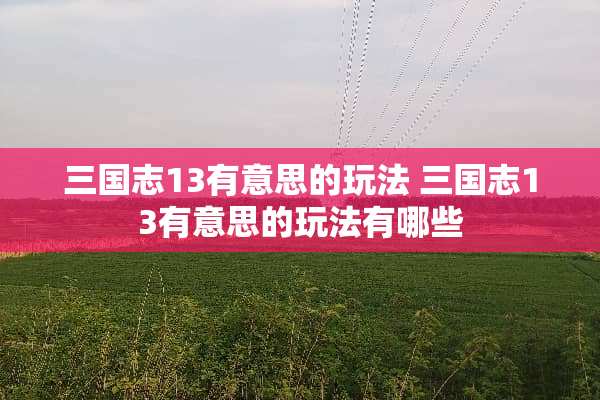 三国志13有意思的玩法 三国志13有意思的玩法有哪些