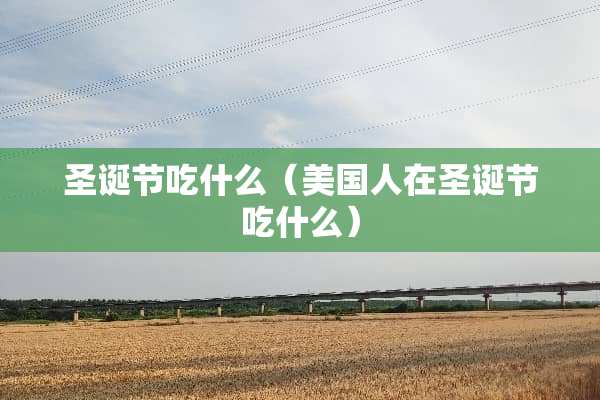 圣诞节吃什么（美国人在圣诞节吃什么）