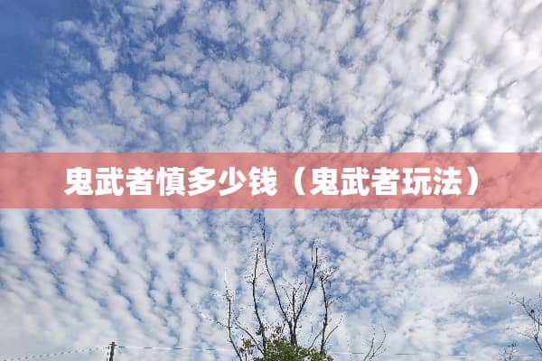 鬼武者慎多少钱（鬼武者玩法）