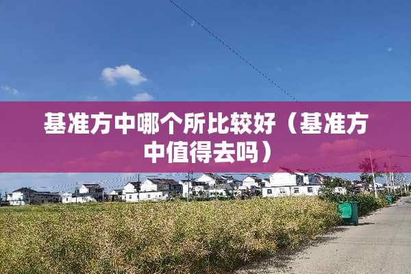 基准方中哪个所比较好（基准方中值得去吗）