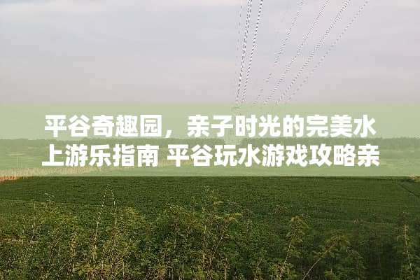 平谷奇趣园，亲子时光的完美水上游乐指南 平谷玩水游戏攻略亲子