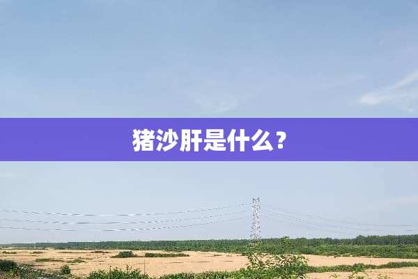猪沙肝是什么？