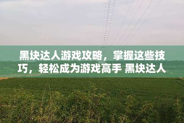 黑块达人游戏攻略，掌握这些技巧，轻松成为游戏高手 黑块达人游戏攻略