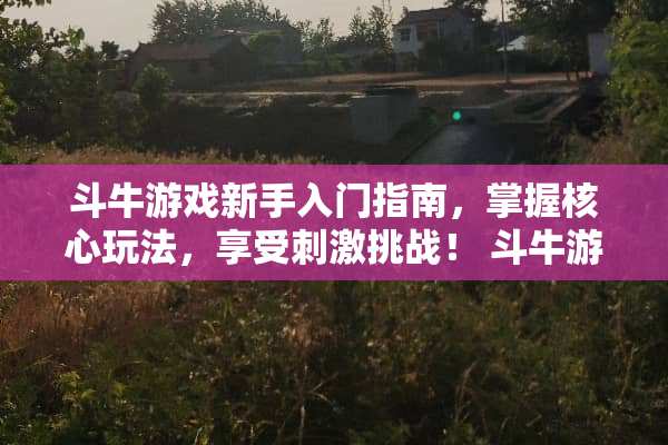 斗牛游戏新手入门指南，掌握核心玩法，享受**挑战！ 斗牛游戏怎么玩法介绍