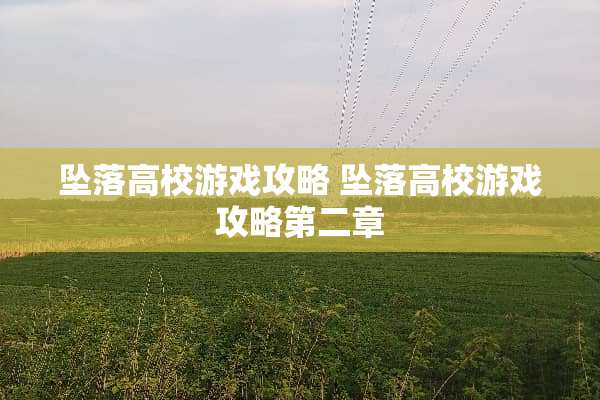 **高校游戏攻略**高校游戏攻略第二章