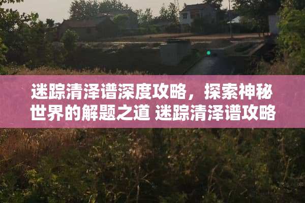 迷踪清泽谱深度攻略，探索神秘世界的解题之道 迷踪清泽谱攻略