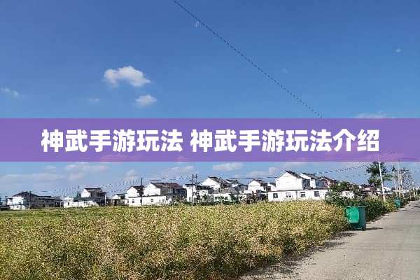 神武手游玩法 神武手游玩法介绍