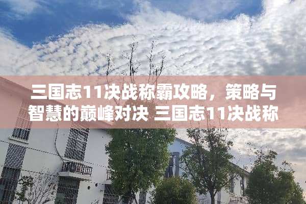 三国志11决战称霸攻略，策略与智慧的巅峰对决 三国志11决战称霸攻略