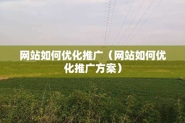 网站如何优化推广（网站如何优化推广方案）