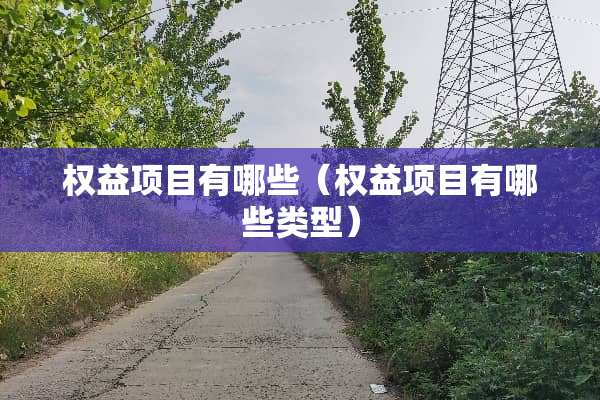 权益项目有哪些（权益项目有哪些类型）