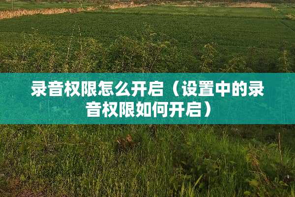 录音权限怎么开启（设置中的录音权限如何开启）
