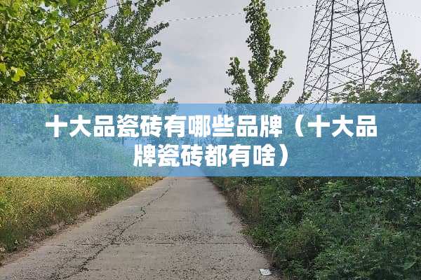 十大品瓷砖有哪些品牌（十大品牌瓷砖都有啥）
