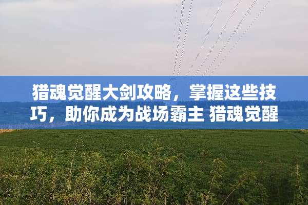 猎魂觉醒大剑攻略，掌握这些技巧，助你成为战场霸主 猎魂觉醒大剑攻略