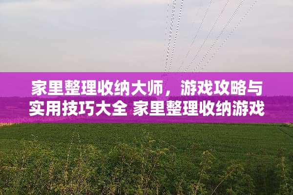 家里整理收纳大师，游戏攻略与实用技巧大全 家里整理收纳游戏攻略