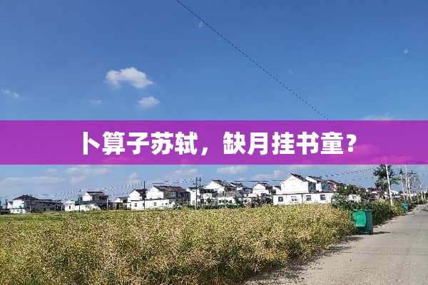 卜算子苏轼，缺月挂书童？