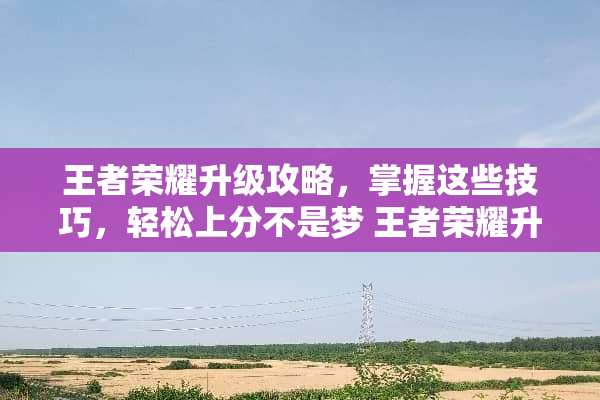 王者荣耀升级攻略，掌握这些技巧，轻松上分不是梦 王者荣耀升级攻略