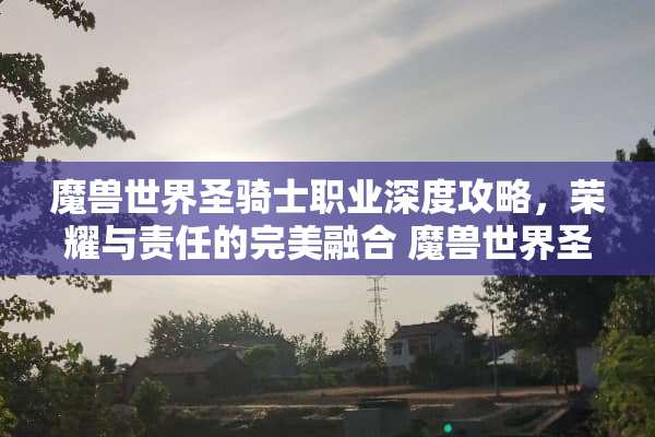 魔兽世界圣骑士职业深度攻略，荣耀与责任的完美融合 魔兽世界圣骑士攻略