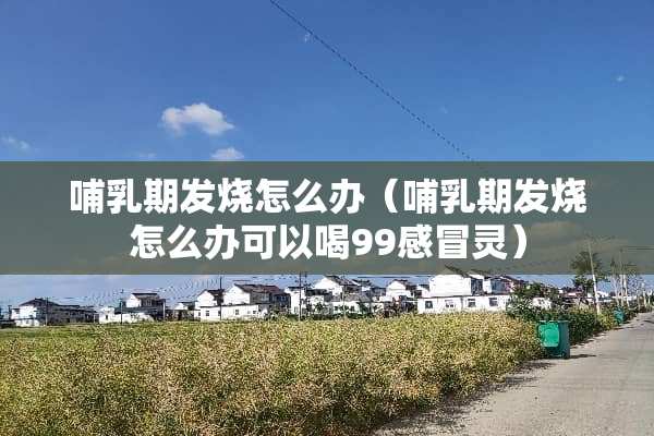 哺*期发烧怎么办（哺*期发烧怎么办可以喝99感冒灵）